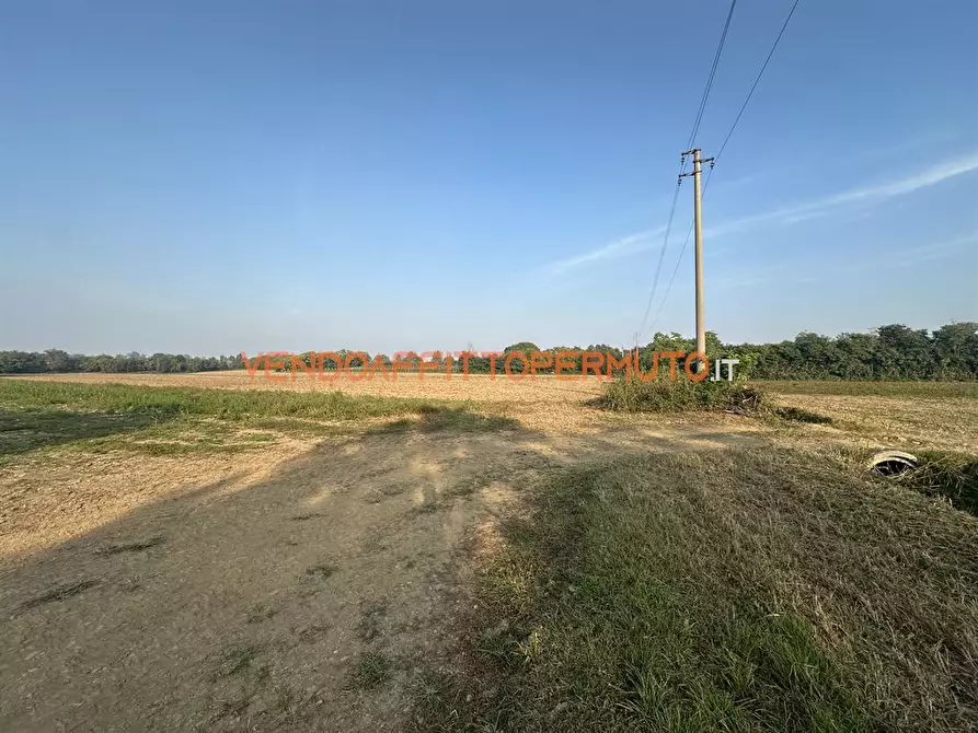 Immagine 7 di Terreno agricolo in vendita  in via diaz a Pontirolo Nuovo