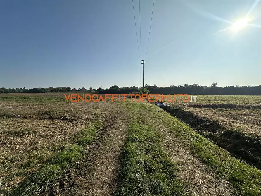 Immagine 3 di Terreno agricolo in vendita  in via diaz a Pontirolo Nuovo