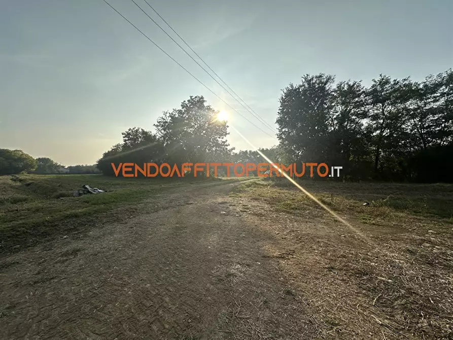Immagine 9 di Terreno agricolo in vendita  in via diaz a Pontirolo Nuovo