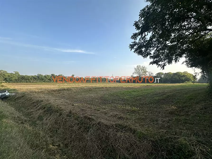Immagine 4 di Terreno agricolo in vendita  in via diaz a Pontirolo Nuovo