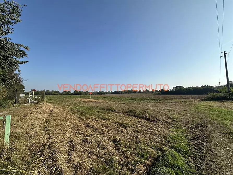 Immagine 2 di Terreno agricolo in vendita  in via diaz a Pontirolo Nuovo