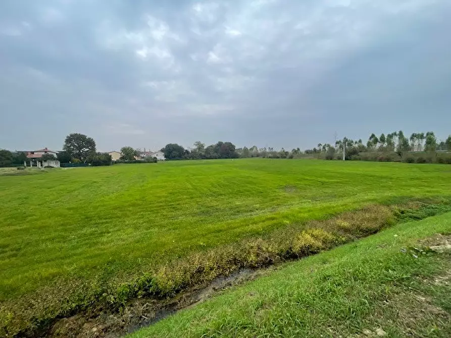 Immagine 3 di Terreno edificabile in vendita  in VIA CARAVAGGIO a Caravaggio