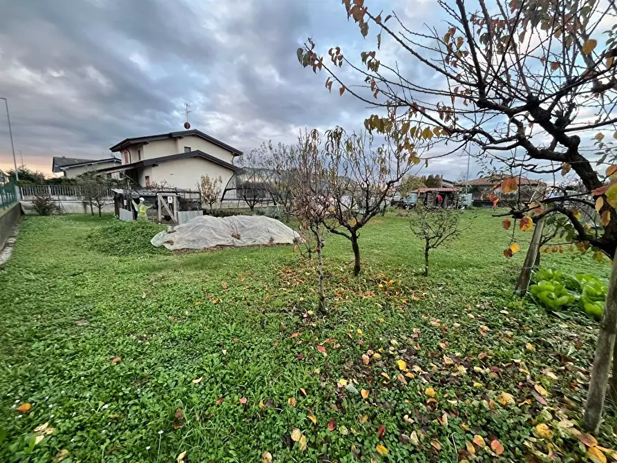 Immagine 2 di Terreno edificabile in vendita  in via pietro rama a Lurano