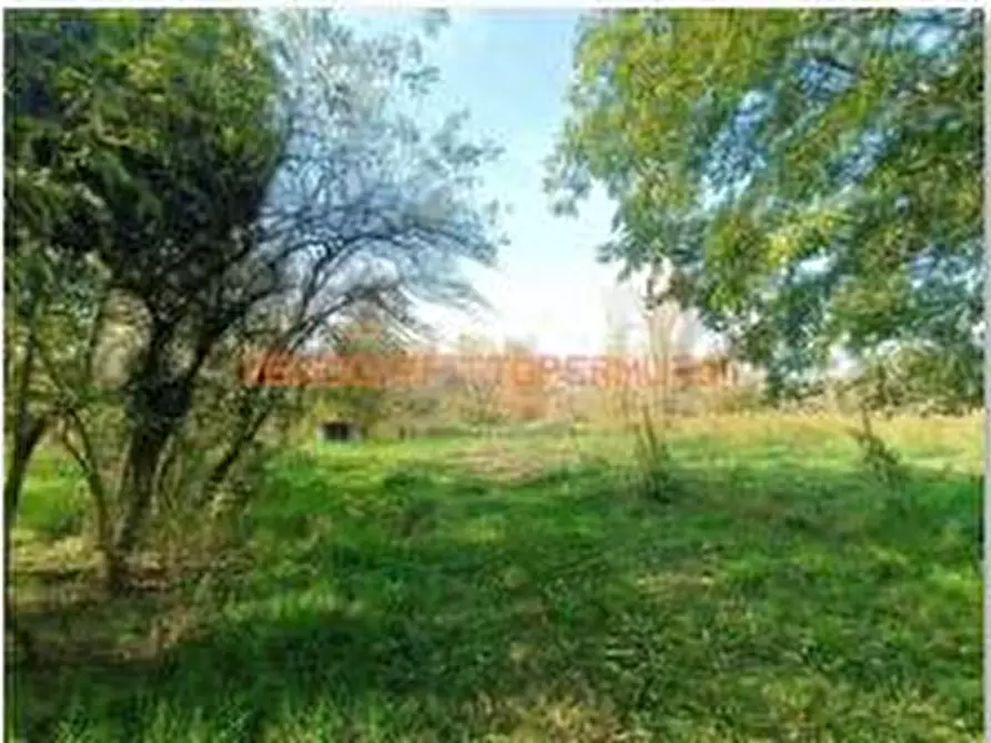 Immagine 5 di Terreno agricolo in vendita  in VIA TELGATE a Palosco