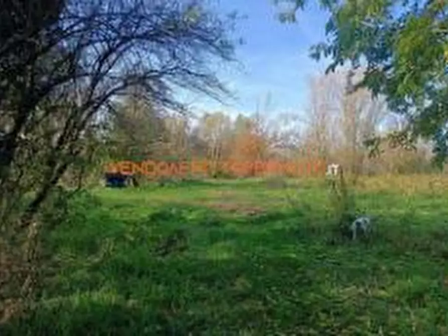 Immagine 4 di Terreno agricolo in vendita  in VIA TELGATE a Palosco