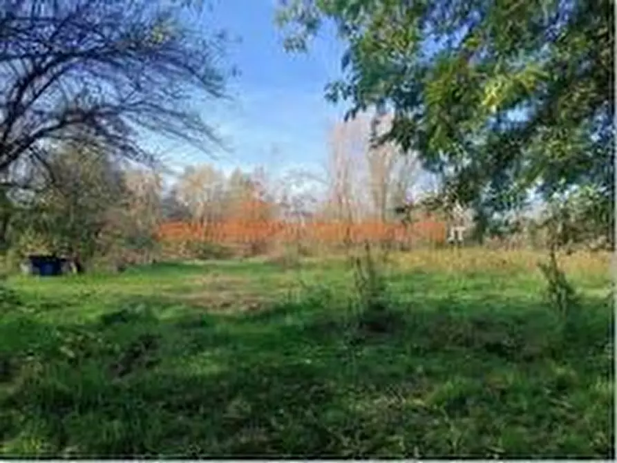 Immagine 6 di Terreno agricolo in vendita  in VIA TELGATE a Palosco