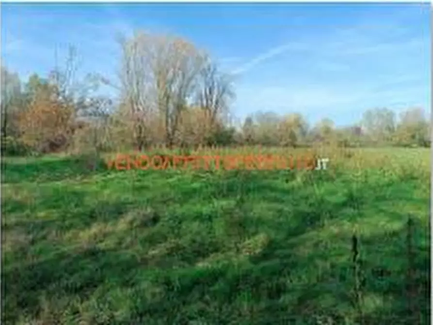 Immagine 1 di Terreno agricolo in vendita  in VIA TELGATE a Palosco