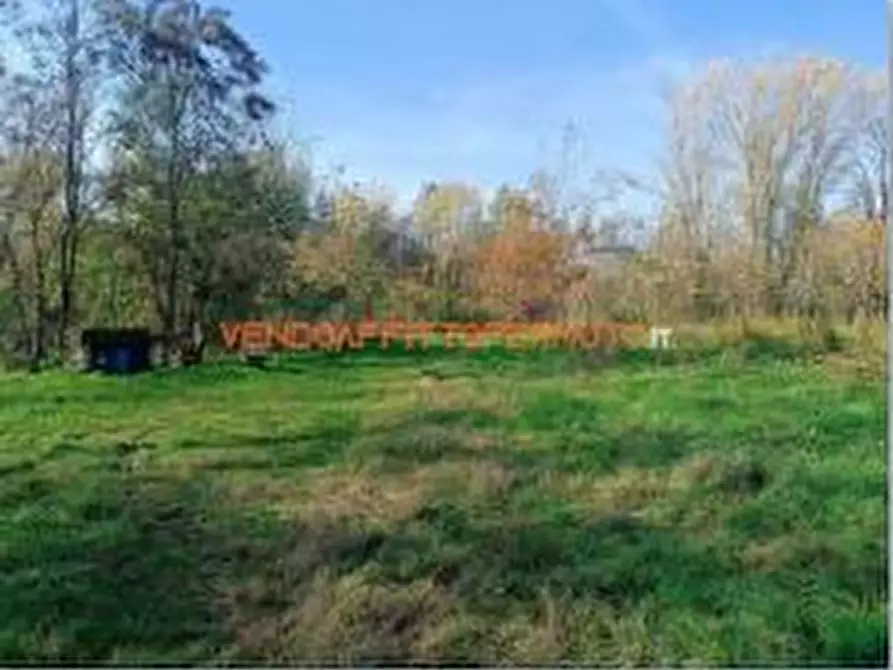 Immagine 3 di Terreno agricolo in vendita  in VIA TELGATE a Palosco