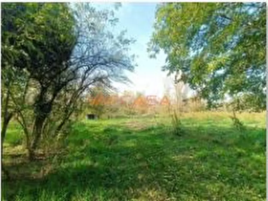 Immagine 2 di Terreno agricolo in vendita  in VIA TELGATE a Palosco