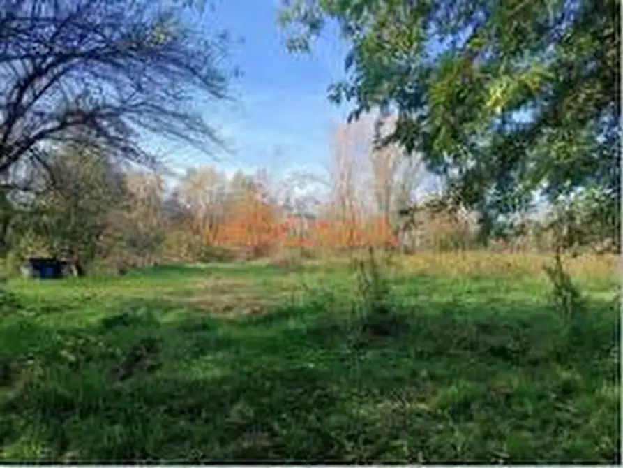 Immagine 3 di Terreno agricolo in vendita  in VIA TELGATE a Palosco