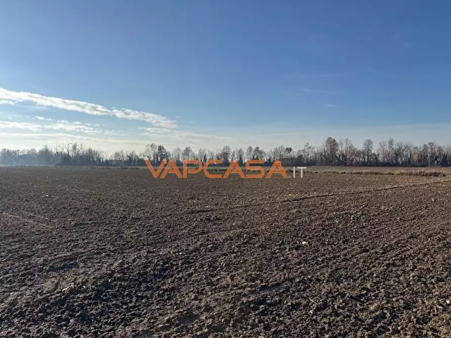Immagine 6 di Terreno agricolo in vendita  in VIA INDIPENDENZA a Mornico Al Serio