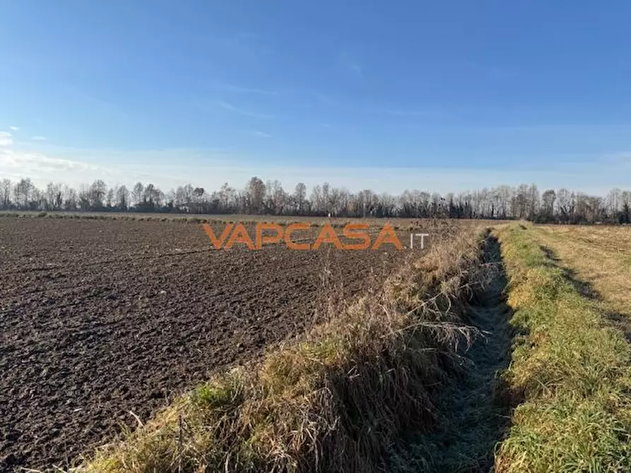 Immagine 2 di Terreno agricolo in vendita  in VIA INDIPENDENZA a Mornico Al Serio