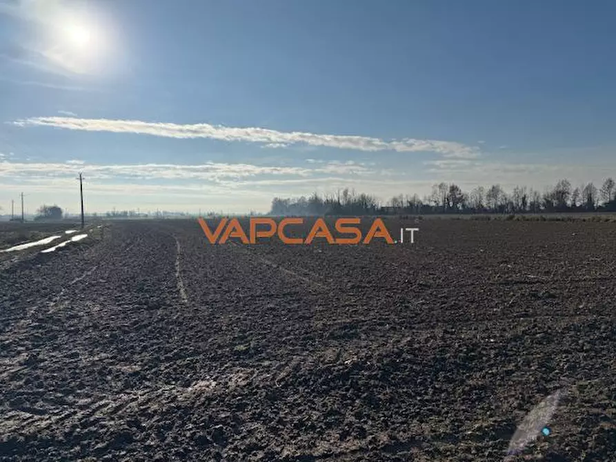 Immagine 4 di Terreno agricolo in vendita  in VIA INDIPENDENZA a Mornico Al Serio