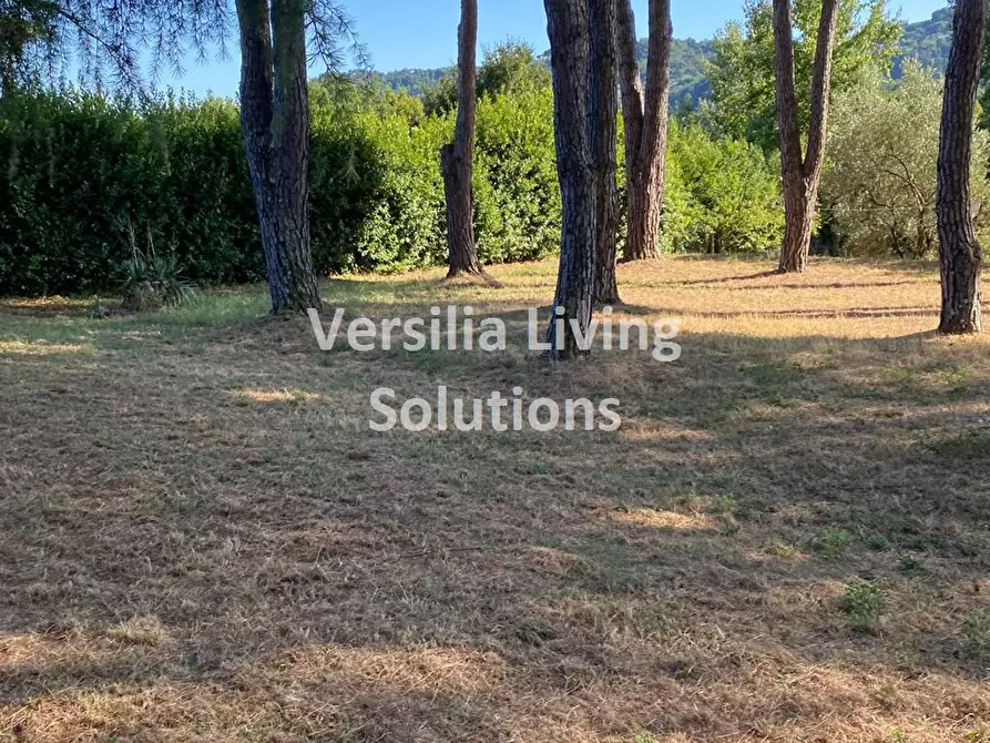 Immagine 6 di Villa in vendita  a Camaiore