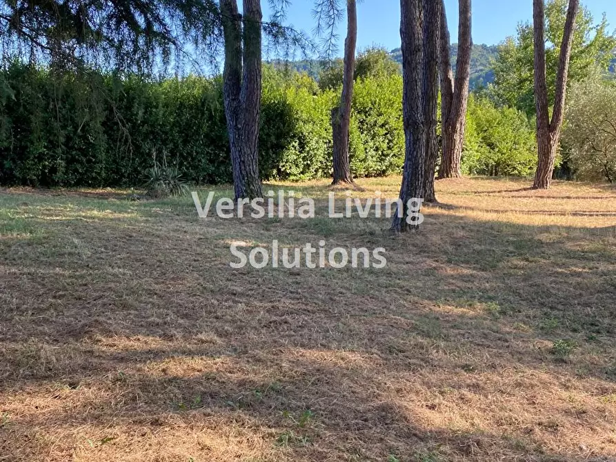 Immagine 5 di Villa in vendita  a Camaiore