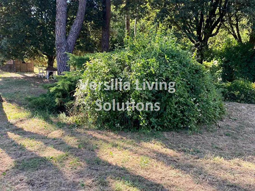 Immagine 9 di Villa in vendita  a Camaiore