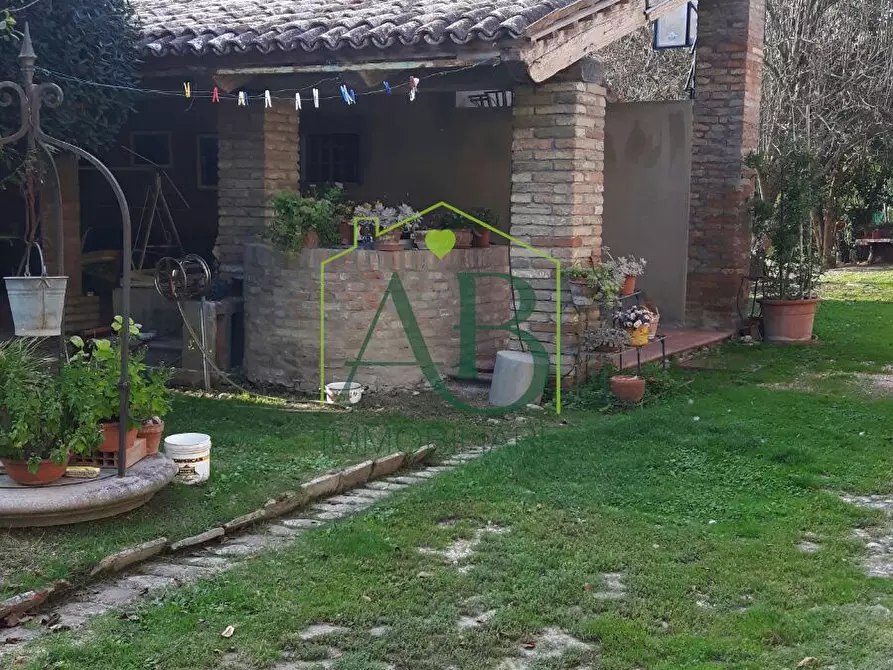 Immagine 5 di Casa indipendente in vendita  a Russi