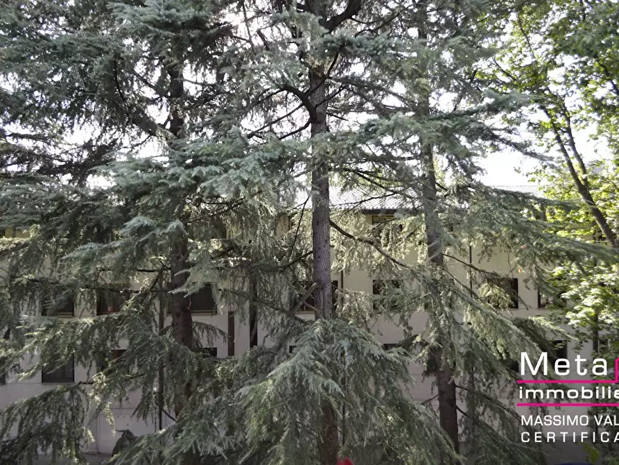 Immagine 3 di Appartamento in affitto  in Via Agadir 16b a San Donato Milanese