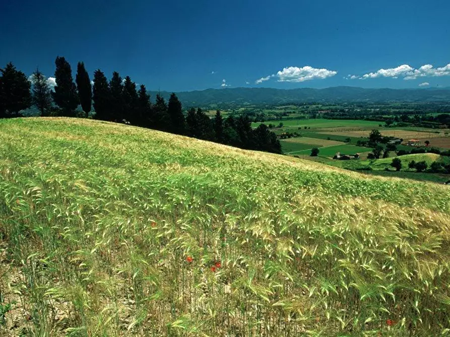 Immagine 6 di Multiproprietà in vendita  in Piazza Dante 1 a Borgo San Lorenzo