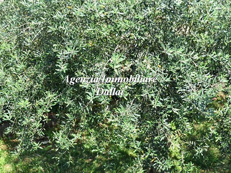 Immagine 4 di Appartamento in vendita  in Via Leonardo da Vinci a Scarperia E San Piero