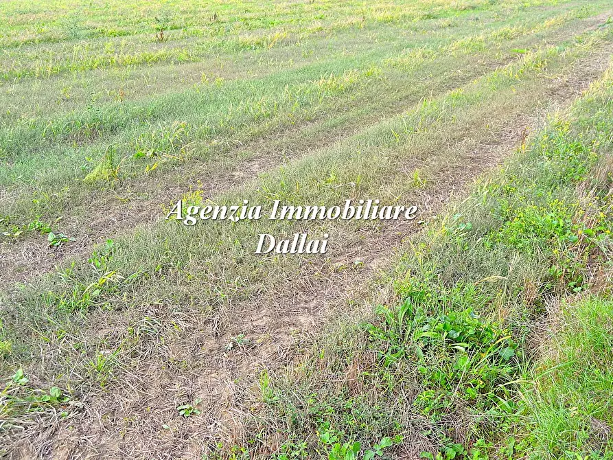 Immagine 1 di Rustico / casale in vendita  in Luco di Mugello 99999 a Borgo San Lorenzo