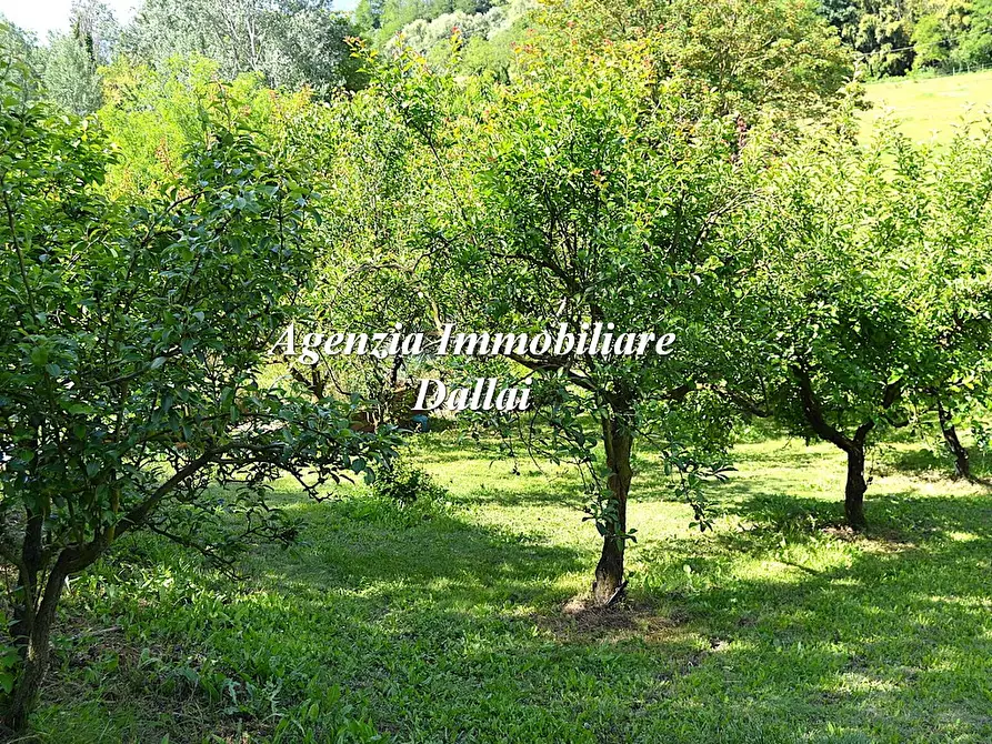 Immagine 4 di Rustico / casale in vendita  in Via Fernando Margheri a Scarperia E San Piero