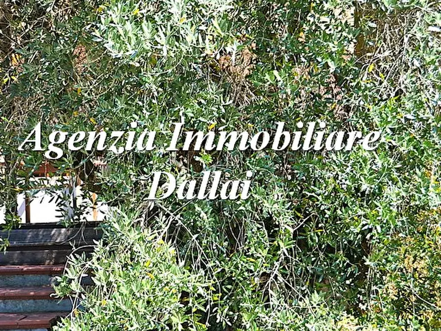 Immagine 4 di Attività commerciale in vendita  in Piazza Cavour a Barberino Di Mugello