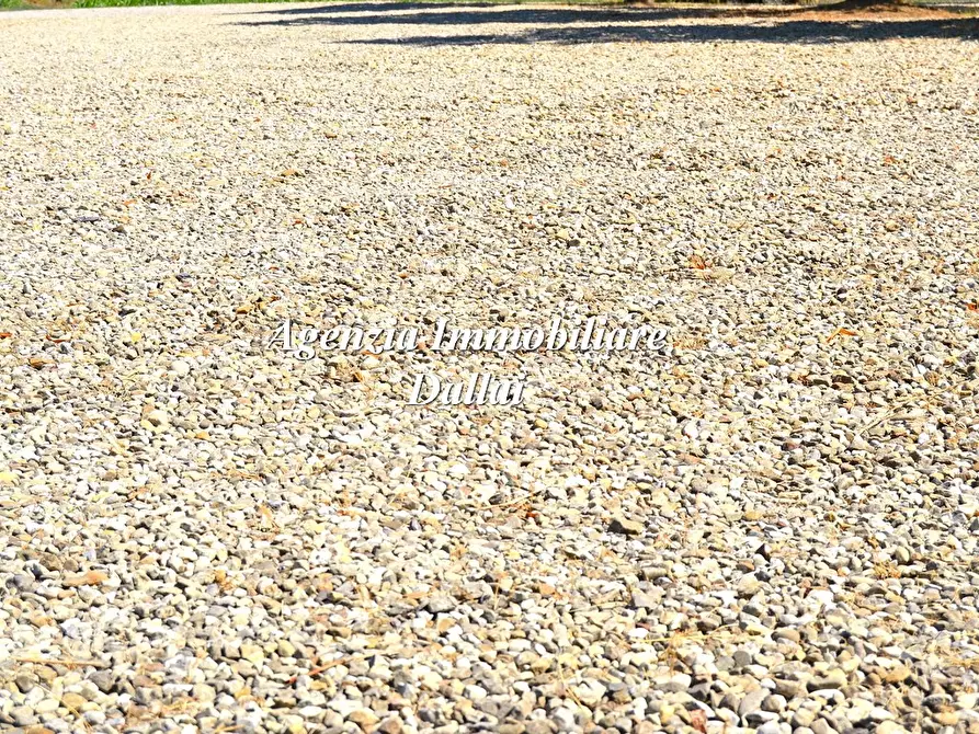 Immagine 8 di Azienda agricola in vendita  in Piazza Cavour 1 a Barberino Di Mugello