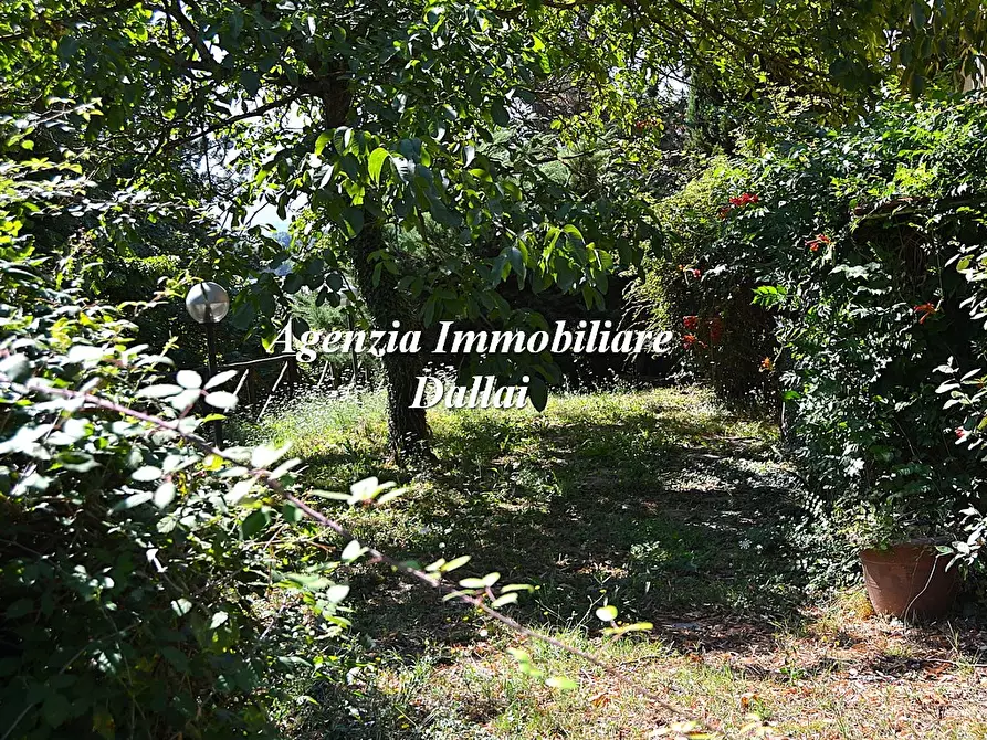 azienda agricola in vendita a Barberino di Mugello