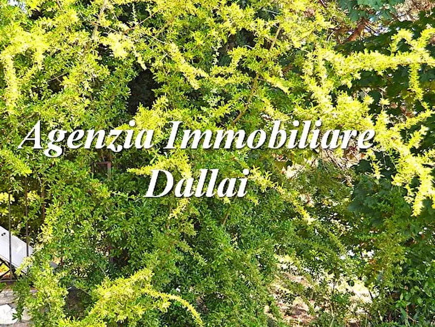 Immagine 6 di Azienda agricola in vendita  in Piazza Cavour 1 a Barberino Di Mugello