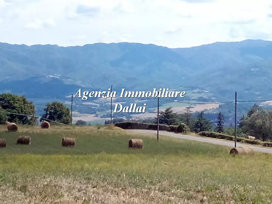 Immagine 9 di Casa indipendente in vendita  in Via del Lago a Barberino Di Mugello
