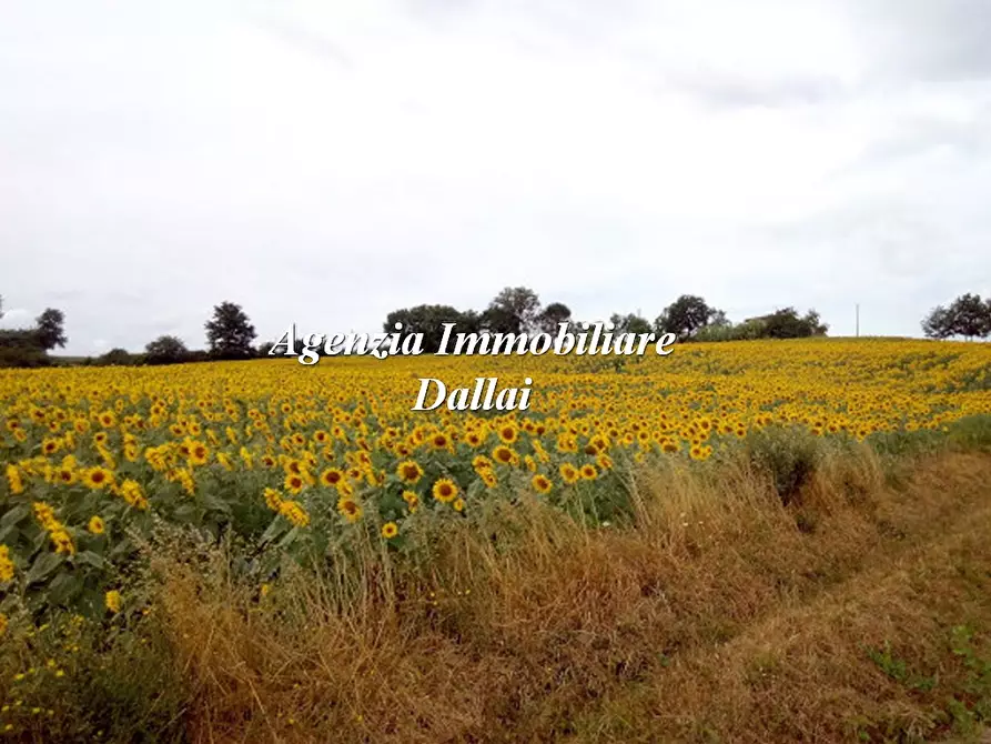 Immagine 4 di Casa indipendente in vendita  in Via del Lago a Barberino Di Mugello