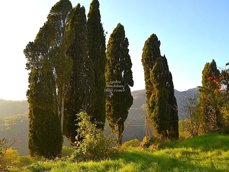 Immagine 2 di Rustico / casale in vendita  in Via di Montepoli a Scarperia E San Piero
