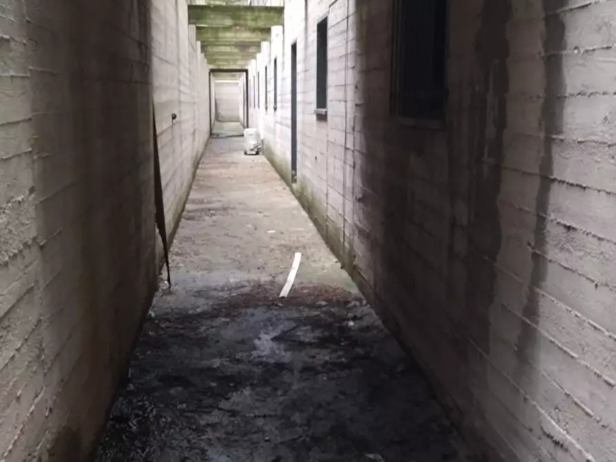 Immagine 5 di Magazzino in vendita  a Assago