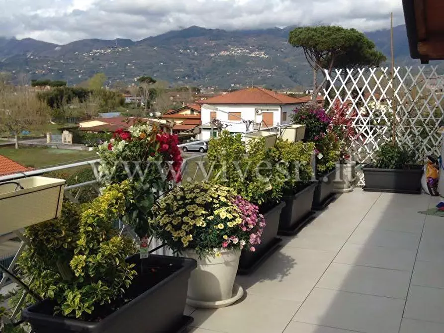 Immagine 2 di Villa in vendita  in Via Leonardo da Vinci a Pietrasanta