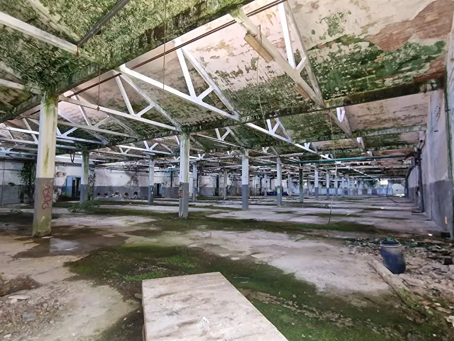 Immagine 3 di Terreno edificabile in vendita  a Galliate