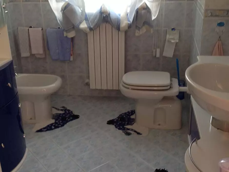 Immagine 7 di Villa in vendita  in CONTRADA SELVA a Campodipietra