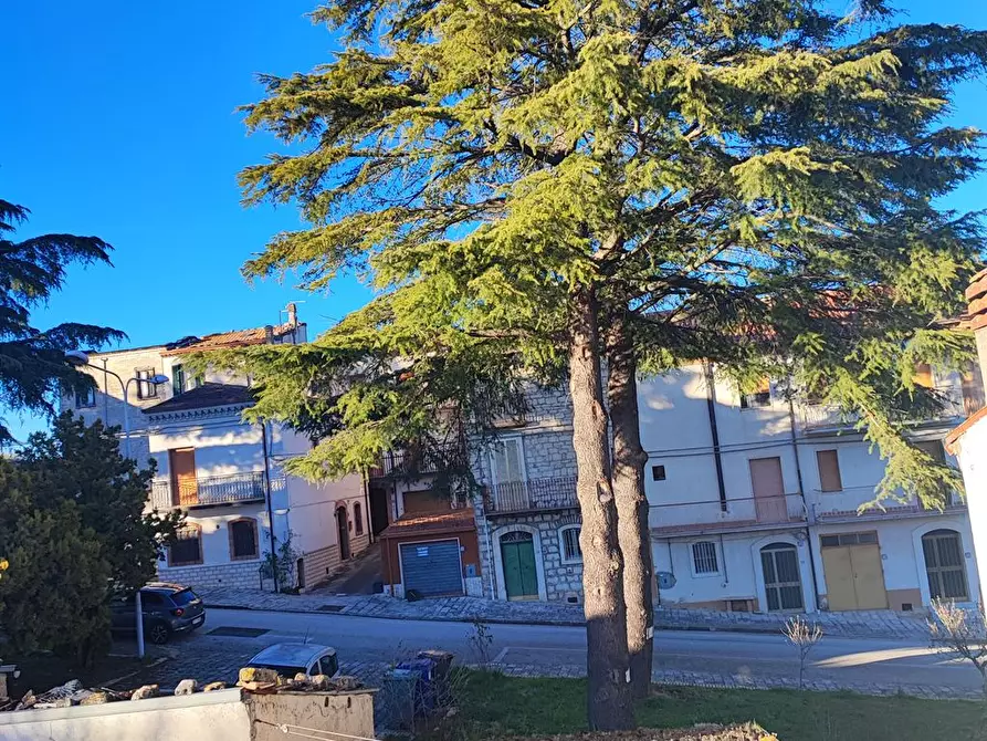 Immagine 3 di Casa indipendente in vendita  a Campodipietra