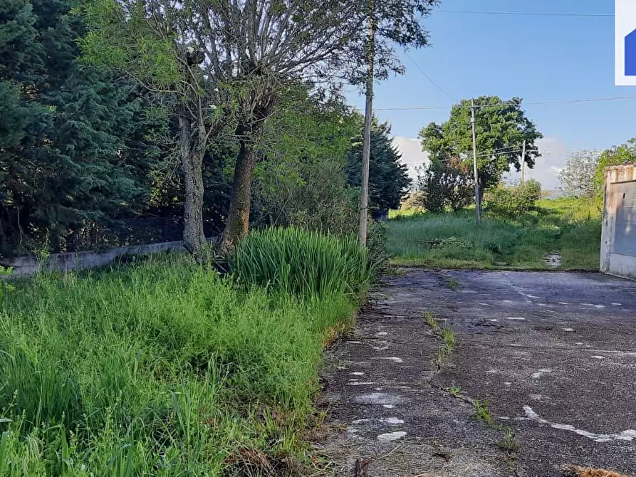 Immagine 2 di Casa indipendente in vendita  in CONTRADA COLLI a Campobasso