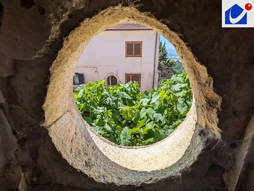 Immagine 5 di Palazzo in vendita  a Cercepiccola