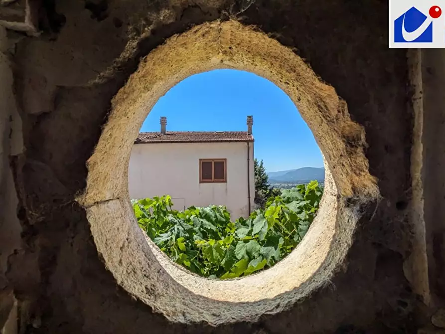 Immagine 7 di Palazzo in vendita  a Cercepiccola