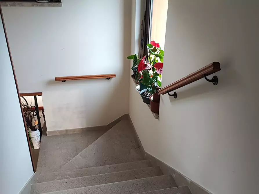 Immagine 1 di Villa in vendita  in fossato cupo a Campobasso