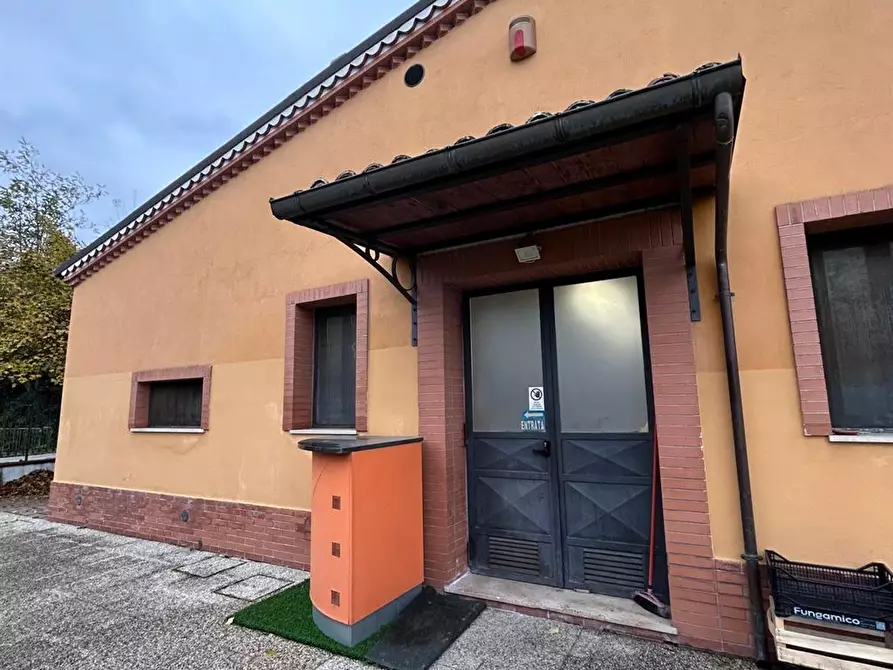 Immagine 7 di Villa in vendita  in fossato cupo a Campobasso