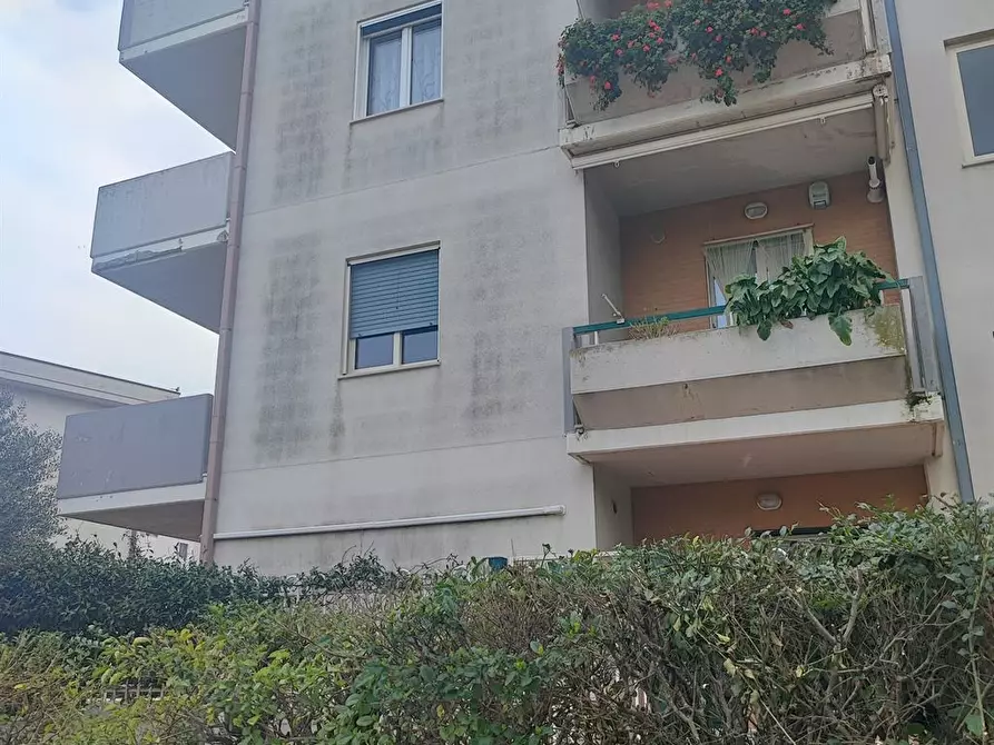 Immagine 9 di Appartamento in vendita  a Termoli