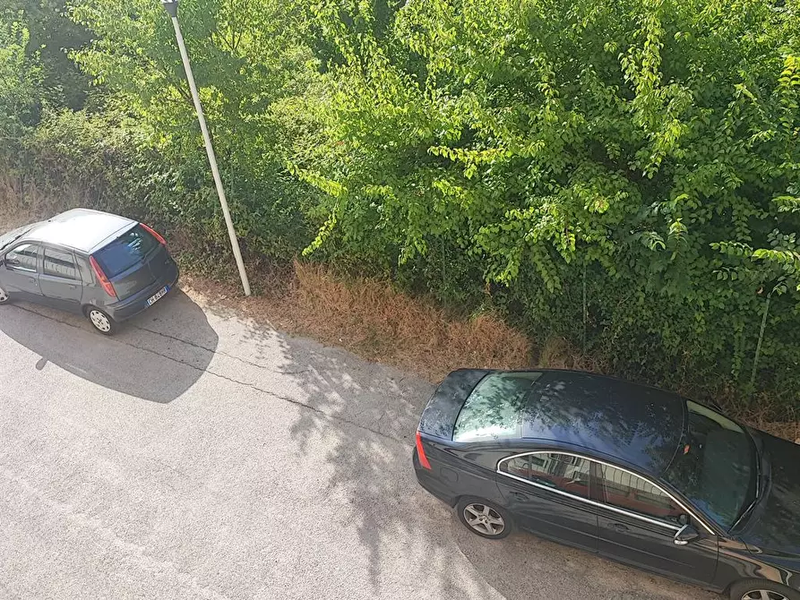Immagine 9 di Appartamento in vendita  in VIA PIRANDELLO 21 a Campobasso