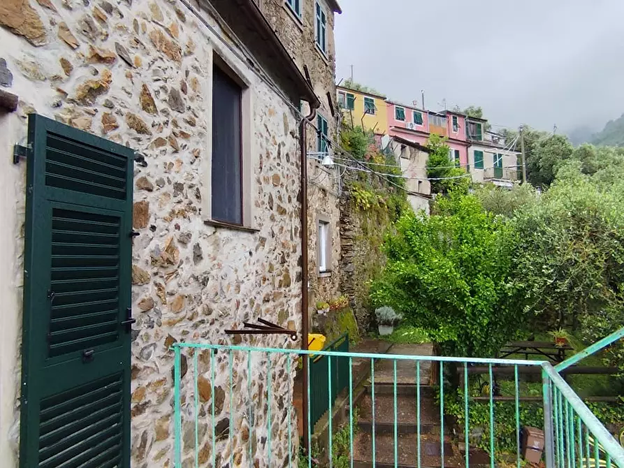Immagine 4 di Casa indipendente in vendita  in LIZZA a Levanto