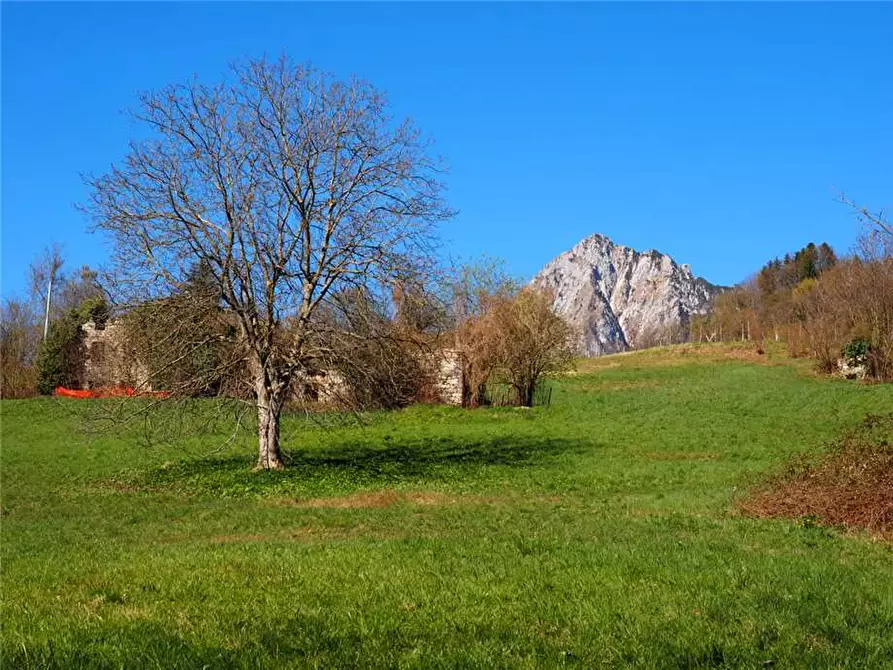 Azienda agricola in vendita a San Gregorio Nelle Alpi