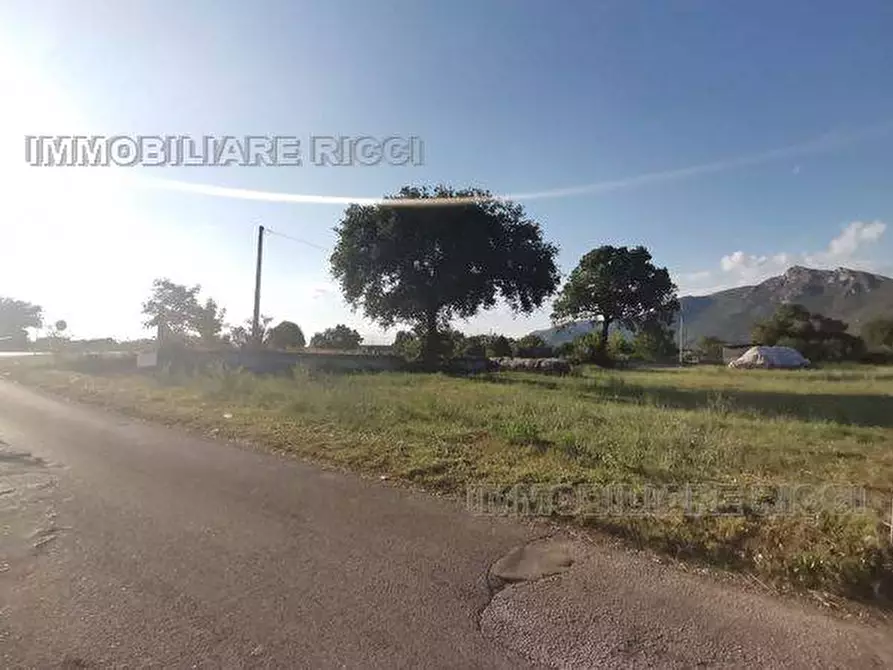 Immagine 3 di Terreno in vendita  a Castrocielo