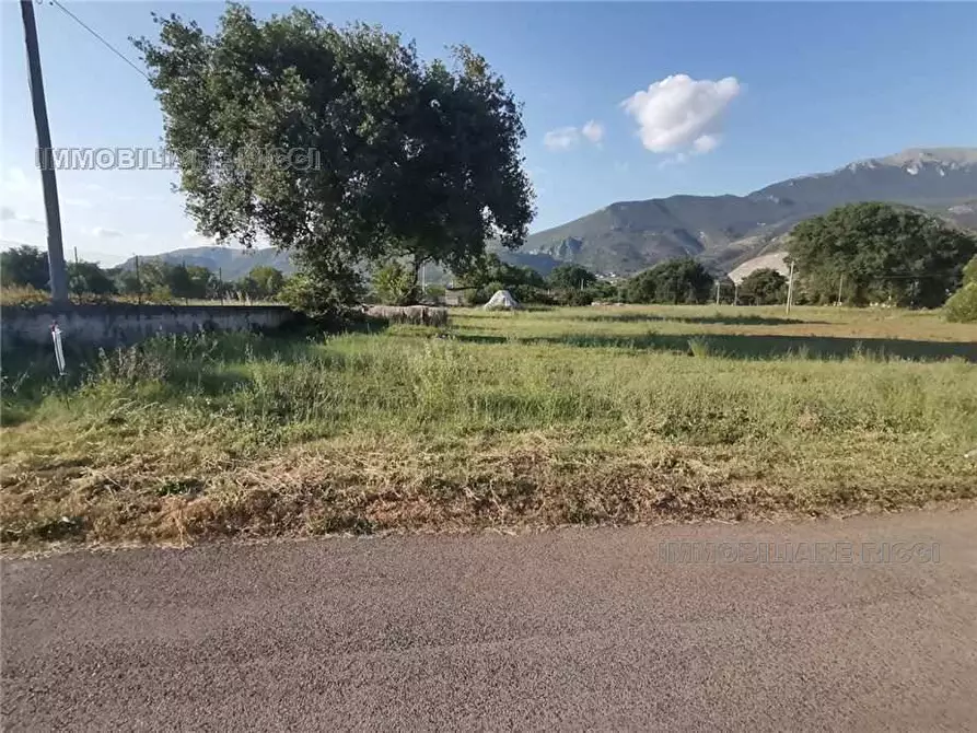 Immagine 4 di Terreno in vendita  a Castrocielo