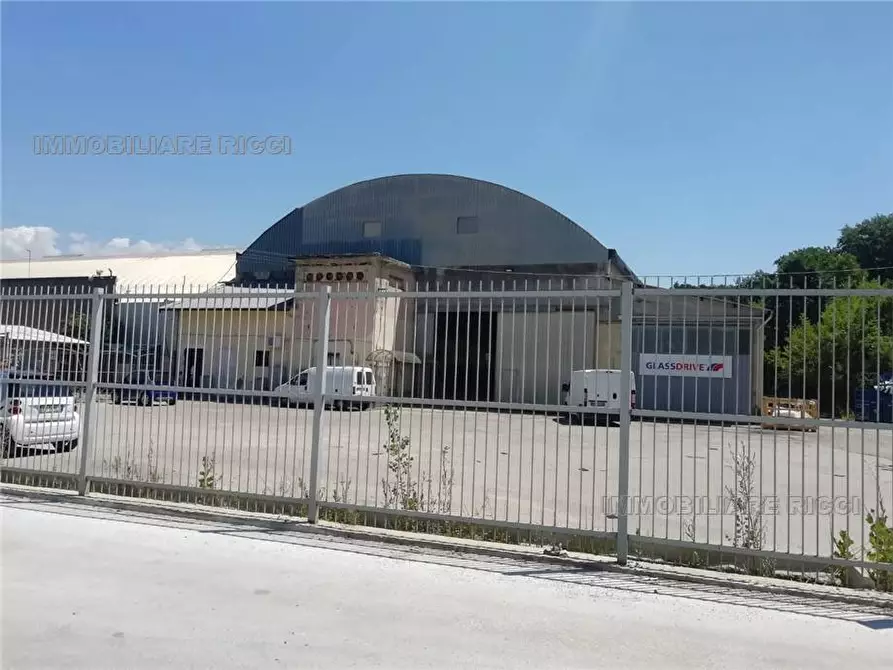 Immagine 4 di Capannone industriale in vendita  a Pontecorvo